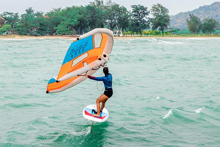 FreeWing-GO-v2-Key-Features-Optimised-Dual-Windows