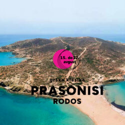 SLOSURF RODOS III